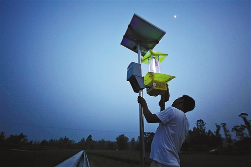 如何科学有效的使用太阳能杀虫灯？