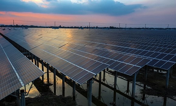 【围观】如果早点了解渔光互补 3万斤鱼就不会被烫死