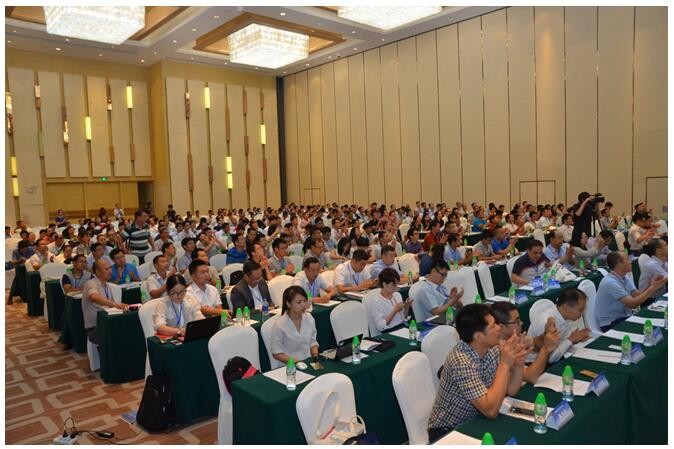 妮妲已过 岭南屋顶分布式“风起云涌”