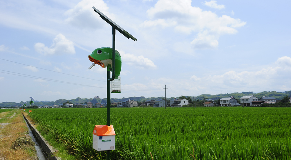 【围观】研究人员利用太阳能捕蚊器来捕捉疟蚊